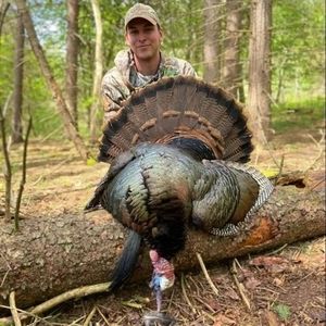 Meet your Posher, Alex